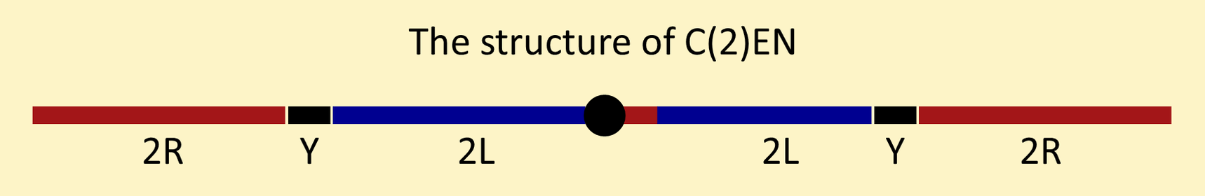 The structure of C(2)EN